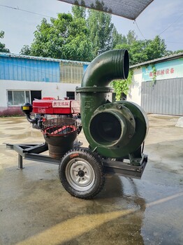 鄂州移動(dòng)式排污水泵柴油電啟動(dòng)噴灌機(jī)大流量抽水機(jī)