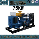 廣西工廠生產(chǎn)75kw濰坊雷納柴油發(fā)電機(jī)組全銅無刷R6105AZD