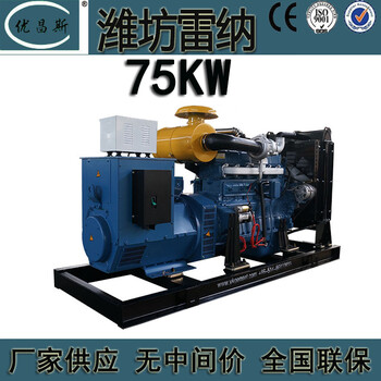 廣西南寧供應(yīng)濰坊雷納動(dòng)力75kw柴油發(fā)電機(jī)組