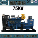 廣西工廠生產(chǎn)銷售75kw濰坊雷納柴油發(fā)電機(jī)組R6105AZD