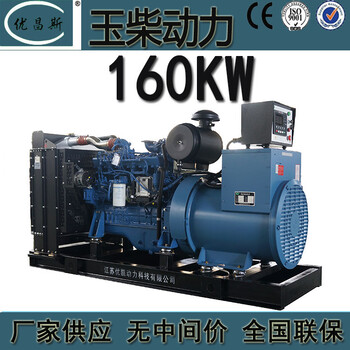广西玉柴160kw玉柴发电机组工地用低油耗发电机YC6A245L-D21