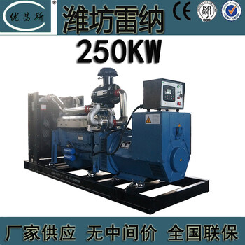 工廠生產(chǎn)250kw濰坊雷納柴油發(fā)電機(jī)組電啟動(dòng)發(fā)電機(jī)LNP10AZLD