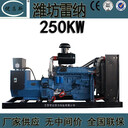 工廠銷售250kw濰坊雷納柴油發(fā)電機(jī)組全銅無(wú)刷K4100D