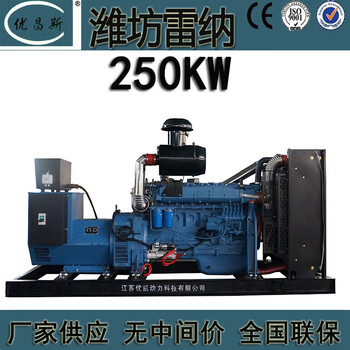 工廠銷售250kw濰坊雷納柴油發(fā)電機(jī)組全銅無刷K4100D