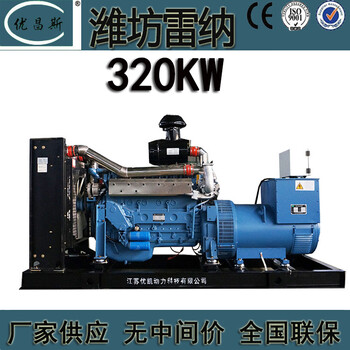 320kw濰坊雷納發(fā)電機(jī)組應(yīng)急電源LN618AZLD