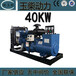 广西工厂生产40kw玉柴柴油发电机组应急备用电源YC4D60-D25