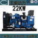 工厂生产广西玉柴22kw柴油发电机组自启动无刷发电YCDV254HZ-35