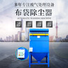 定制工業(yè)燒結(jié)板除塵器焦化廠塑燒板收塵器鑫俊澤生產(chǎn)