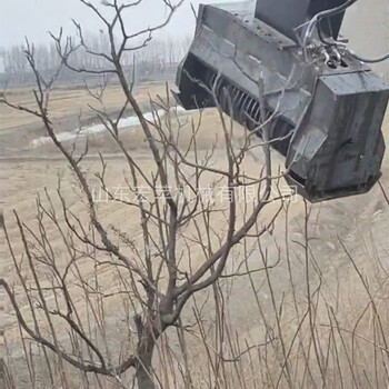 宏蘋(píng)出租挖掘機碎木機溝渠荒坡治理開(kāi)荒機除草碎木一體機