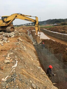 山西格宾网厂家，河堤修建格宾网优势