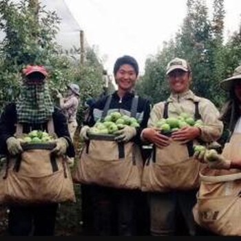 內(nèi)蒙古赤峰急招愛爾蘭農(nóng)場(chǎng)出國(guó)打工年薪40萬(wàn)種植工卡車司機(jī)