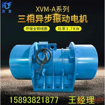 XVM-A-100-4三相異步振動電機