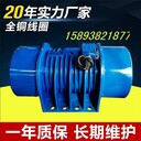 YJZ三相異步振動(dòng)電機(jī)YJZ-48-6C慣性振動(dòng)器