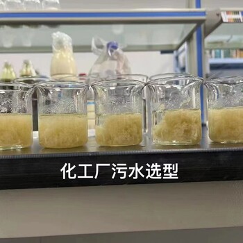 聚丙烯酰胺PAM白藥絮凝劑沉淀劑電廠(chǎng)污水處理冶金廢水處理