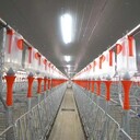 母豬用自動化喂料設(shè)備主機料塔