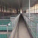 仔豬雙體保育床的優(yōu)勢(shì)