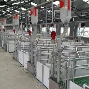 养猪自动化料线养殖场新设备自动喂料线系统