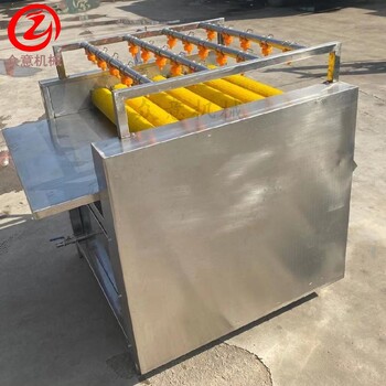豬蹄毛輥清洗機多功能胡蘿卜去皮毛輥清洗機