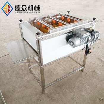 豬蹄毛輥清洗機多功能胡蘿卜去皮毛輥清洗機