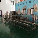 全自動(dòng)定量潑腦豆腐干機(jī)