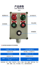 BXK-A2D2防爆控制箱远程控制箱现场启动停止开关盒防爆按钮箱