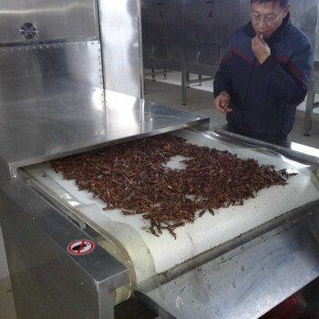 微波昆蟲烘干殺菌設備,黃粉蟲黑水蛇干燥殺菌機