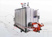 胶黏剂生产使用的LHS2-0.7燃气蒸汽发生器蒸汽发生器厂家