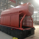 加气砖生产DZL20-1.25SCII燃生物质蒸汽锅炉，烧柴蒸汽锅炉