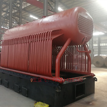 化工生产使用的燃生物质蒸汽锅炉DZL15-1.25SCI，15吨蒸汽锅炉