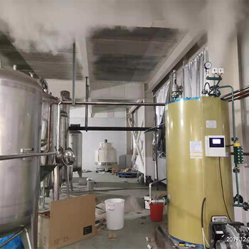 豆腐生产豆浆蒸煮燃气蒸汽发生器0.3吨立式蒸汽发生器