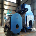 饲料生产低氮燃气蒸汽锅炉WNS2-1.25-YQ节能冷凝锅炉