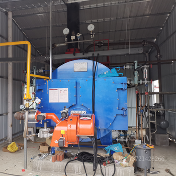 低氮改造燃气锅炉新疆燃煤改造WNS燃气热水锅炉
