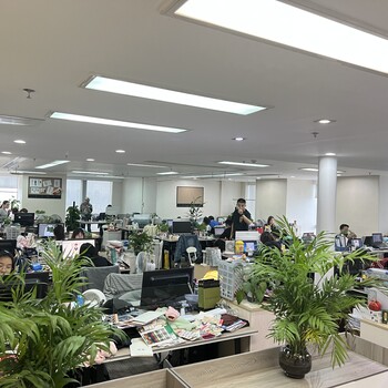 國內大服裝設計公司
