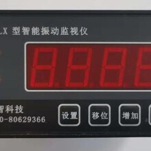 江阴鼎智DM-ZD-LX型4896小型振动监视仪图片