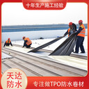 熱塑性聚烯烴TPO丁基自粘防水卷材