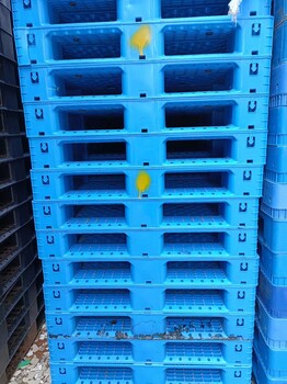 塑料托盤二手塑膠卡板地牛叉車墊板吹塑木托盤回收出售木棧板