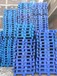 南平塑料托盘厂家收售二手塑胶卡板防潮地牛叉车吹塑木托盘木栈板