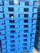 福州木托盘回收出售二手木栈板防潮仓储吹塑旧塑料托盘塑胶卡板