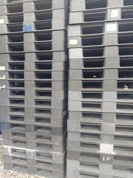 廈門木托盤二手木棧板回收出售塑料托盤防潮倉儲地牛叉車塑膠卡板
