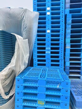 廈門木托盤二手木棧板回收出售塑料托盤防潮倉儲地牛叉車塑膠卡板