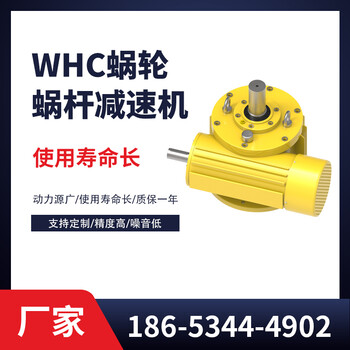 WHC280圆弧圆柱蜗杆减速器