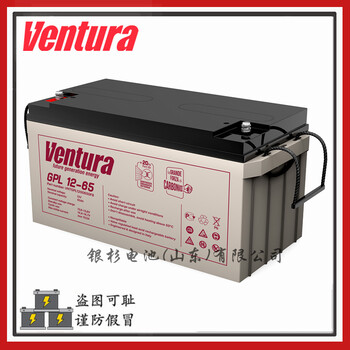 Ventura蓄電池GPL12-65安全系統(tǒng)視頻監(jiān)控電源用12V-65AH電池