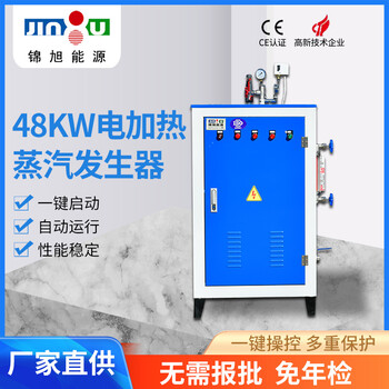 蒸汽發(fā)生器-電加熱小型蒸汽鍋爐