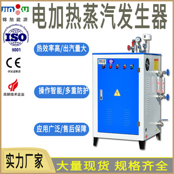 蒸汽發(fā)生器-電加熱小型蒸汽鍋爐