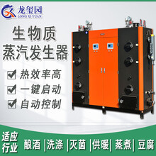 商用工业蒸汽发生器小型立式钢铁冶金水泥管养护0.3吨燃气锅炉