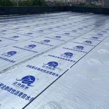 广州番禺铁皮厂房屋面防水堵漏施工规范