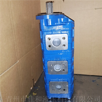 长源齿轮泵油泵非标定制装载机用液压泵运行平稳佳和液压