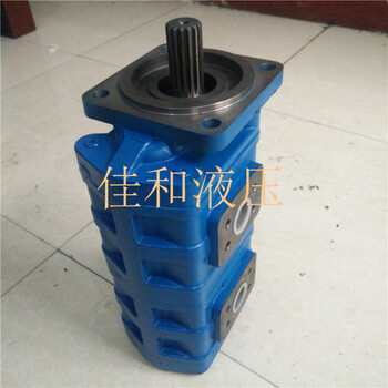 中联25T吊车齿轮泵液压泵高压货源足
