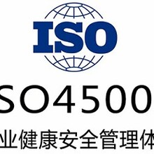 浙江iso45001体系认证办理iso体系认证公司