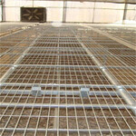 温室种植药材种植育苗床移动苗床热镀锌网片定制加工